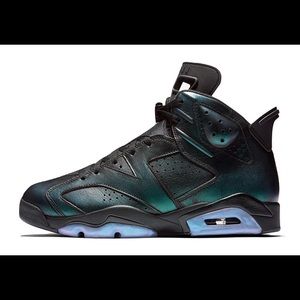 Air Jordan ALL STAR 6s Chameleon